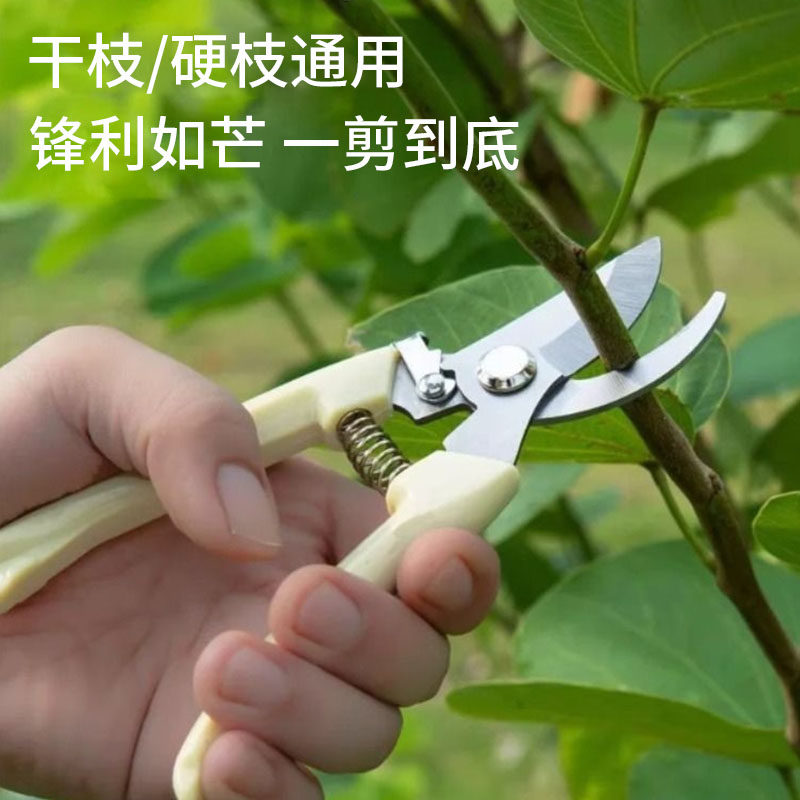 Beechip Gardening Shears, Fruit Tree Pruning Shears, Magic Garden Shears, Branch Shears, Flower Grafting, Garden Household Pruning