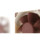 Вентилятор охлаждения корпуса NOCTUA Owl NF-A6X25 A6X15 PWM FLX 6 см 6025 6015 mini 2