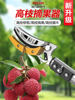 Delixi Electric Fruit Picking Tool Telescopic Pole Scissors Pruning Shears Fruit Tree High-Altitude Picking Tool for Longan and Jujube
