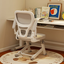 Student Study Chair, Ergonomic Writing Chair for Junior and Senior High School Students, Adjustable Height Desk Chair with Lumbar Support for Teenagers