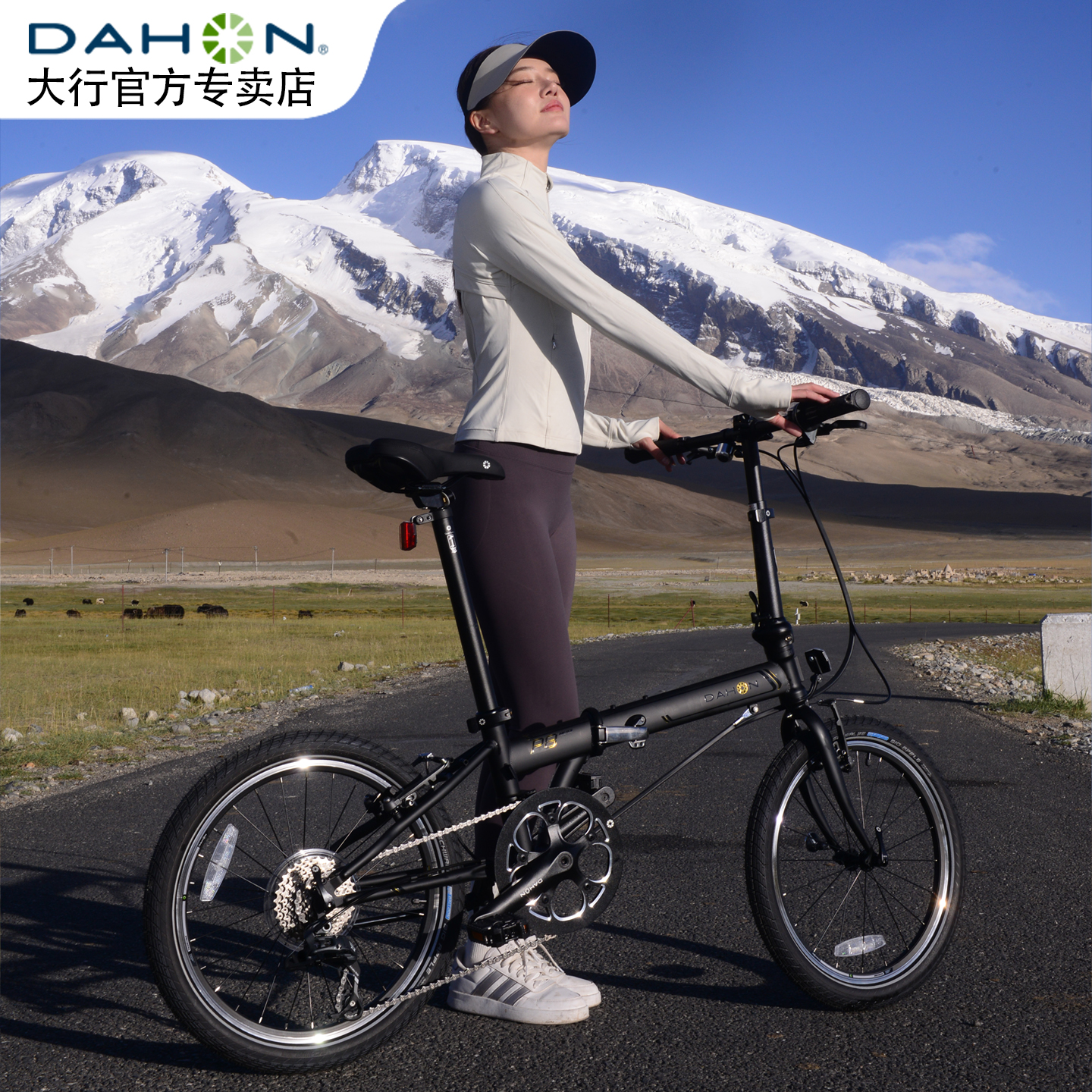 DAHON P8 折りたたみ自転車 クラシック 20インチ スピード 超軽量 大人用 男女兼用自転車 KBC083