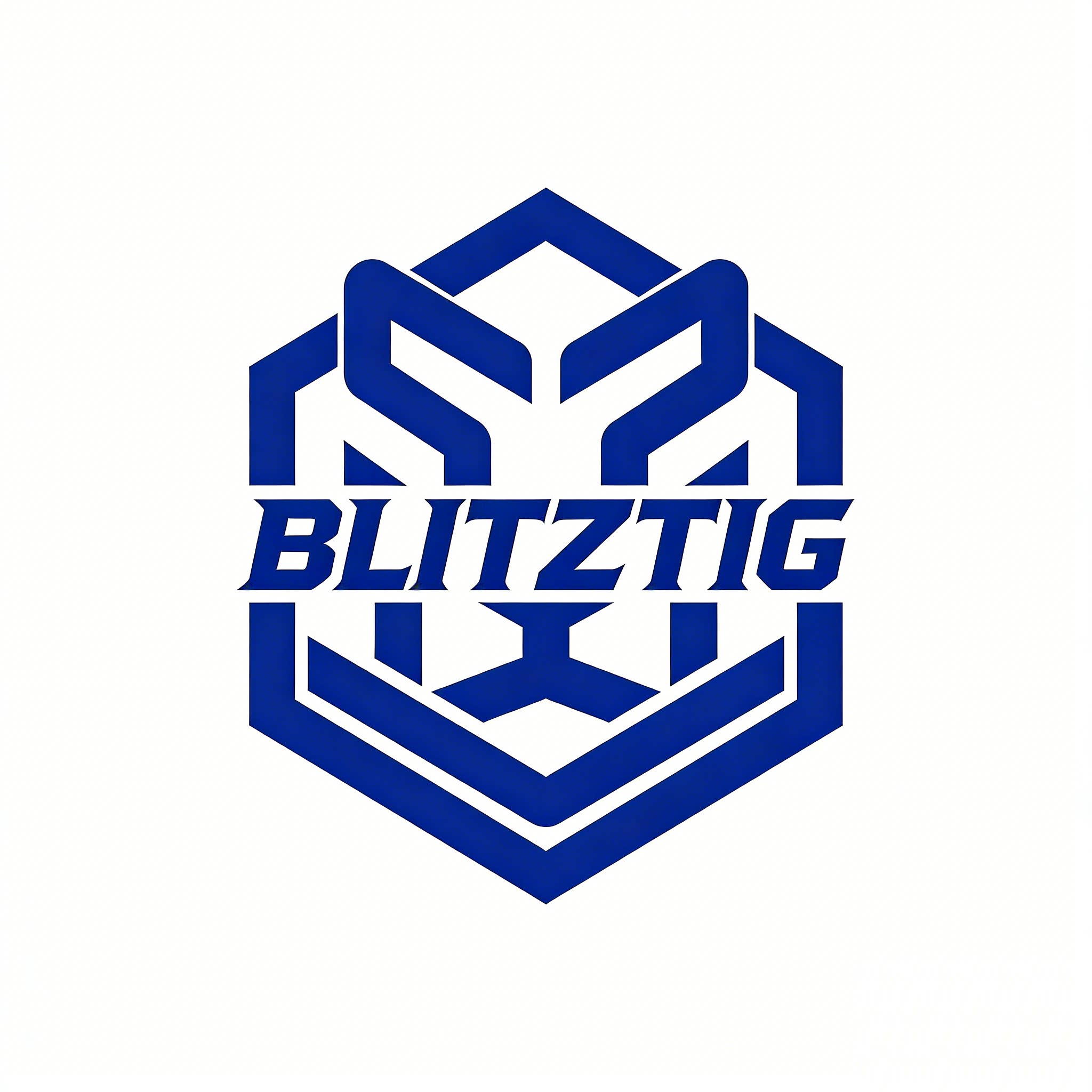 BlitzTig 闪电虎官方企业店