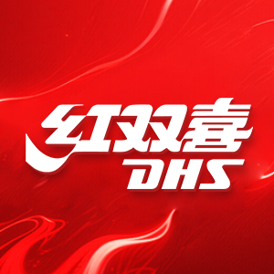DHS红双喜佳创专卖店