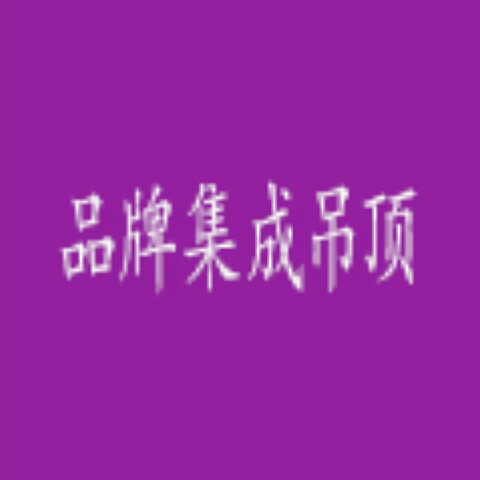 十大品牌吊顶电器直销店