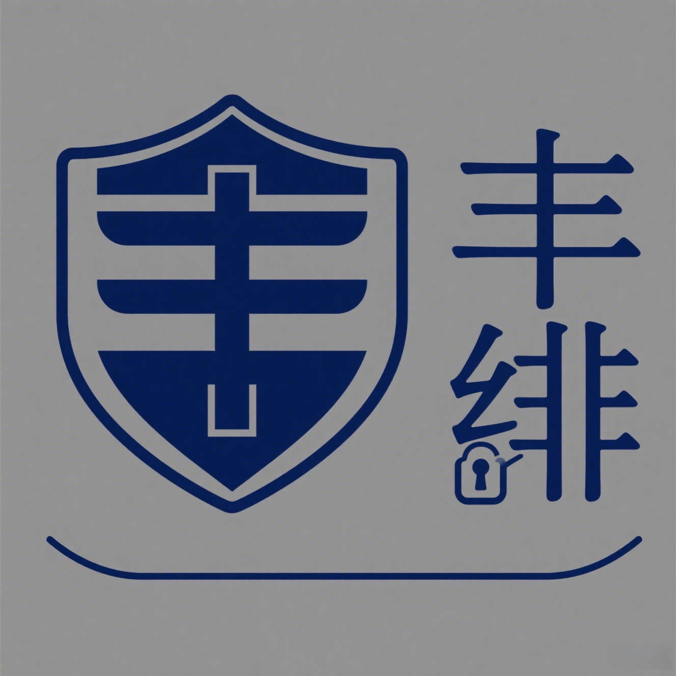 丰绯安防实业科技