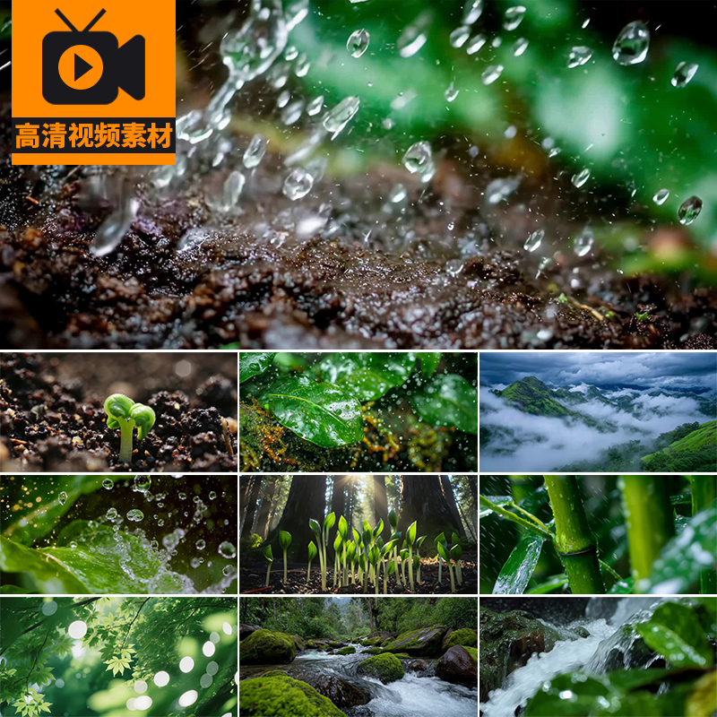 After the Rain, the Forest Comes Alive, Seeds Germinate, Break through the Soil, Plants Sprout, Early Spring Water Droplets Video Footage After the Rain, the Forest Comes Alive, Seeds Germinate, Break through the Soil, Plants Sprout, Early Spring Water Droplets Video Footage