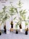 Artificial Golden Monkey Fern Potted Plant, Sycamore Fern, Golden Dog Fern, Fern Plant, Fern Grass, Window Display, Zen-Style Ornament