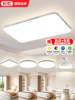 Living Room Main Light 2025 New Model Led Ceiling Light Modern Simple and Elegant Whole House Package Zhongshan Lighting Hall Light