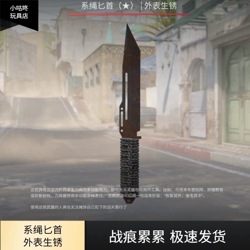 CS2 系绳匕首 外表生锈 战痕累累 刀皮肤 CSGO饰品 游戏道具