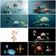 Fish Tank Background Sticker 3D High-Definition Image 5D Aquarium Home and Lotus Landscape Decoration Painting Wallpaper Adhesive Sticker