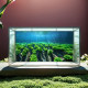 Fish Tank Background Sticker 3D Stereo High-Definition Picture 5D Stream Tank Aquarium Grass Tank Landscaping Decorative Picture Aquatic Grass Rock