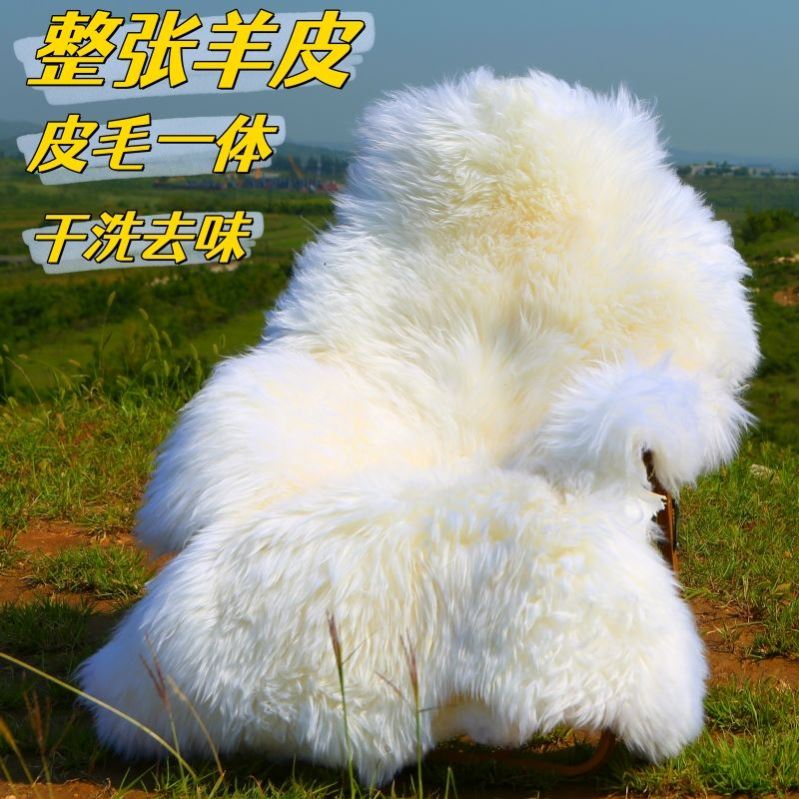 国産羊毛全粒純毛カーペット ウールソファクッション 毛皮 リビングルーム 寝室 出窓 ベッドサイドカーペット