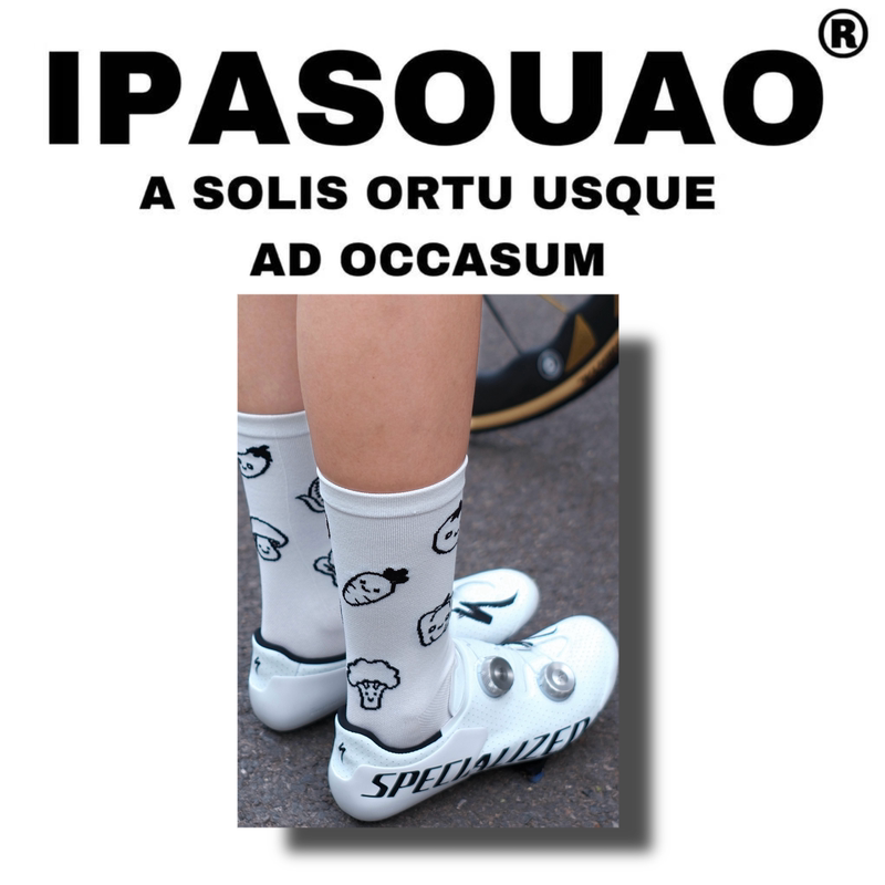Ipa2564Pro: Professional Cycling Socks 2.0 | Botanical Garden Socks, Quick-Drying, Sweat-Absorbent, Breathable for All Seasons, Creative White Ipa2564Pro: Professional Cycling Socks 2.0 | Botanical Garden Socks, Quick-Drying, Sweat-Absorbent, Breathable for All Seasons, Creative White