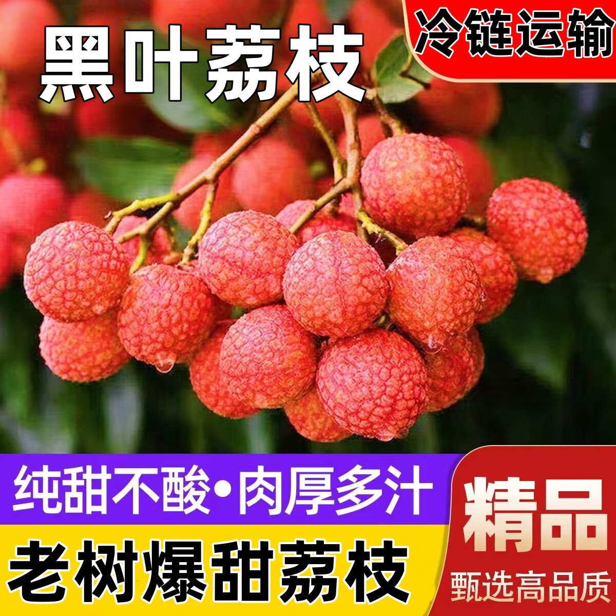 增城挂绿荔枝苗：贵族水果的种植秘籍，让你在家也能品尝荔枝王！-果树-淘宝百科网