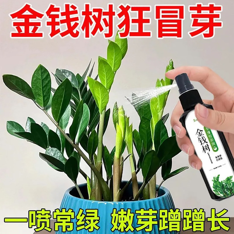 【New Growth】Money Tree Nutrient Solution Special Fertilizer for Rapid Growth and Emergency Treatment of Greenish-Yellow Leaves, Yellowing Leaves, and Root Rot