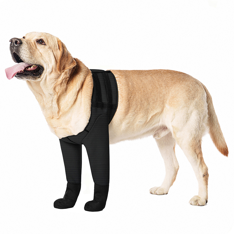 Coodeo Dog Leg Breathable Elastic Protective Sleeve Pet Post-Surgery Recovery Anti-Licking and Biting Leg Protector Dog Socks