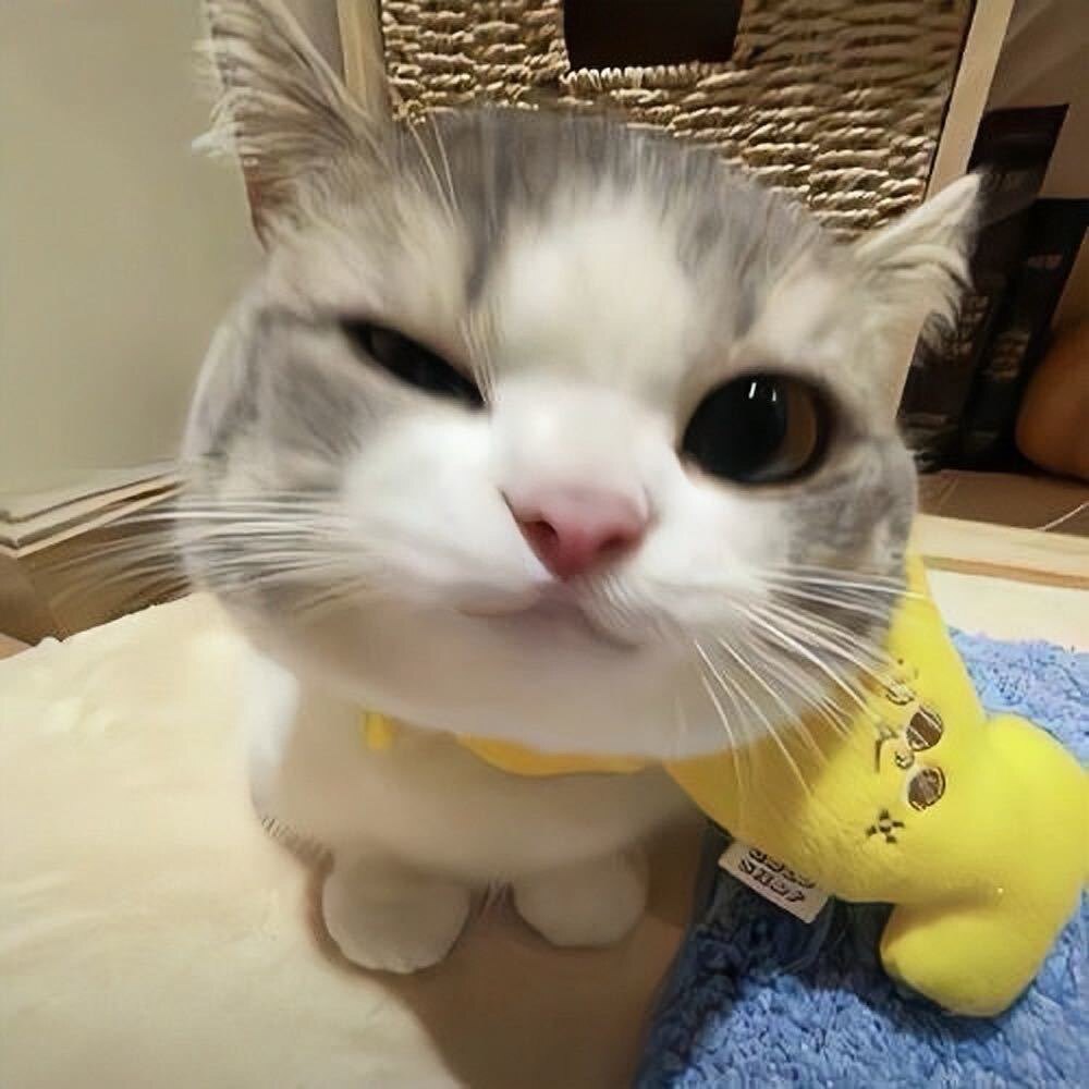 脑袋还不清醒