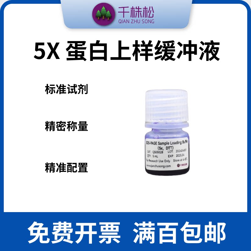 蛋白上样缓冲液5X/DTT/TCEP/Loading Buffer/SDS/还原剂变性剂