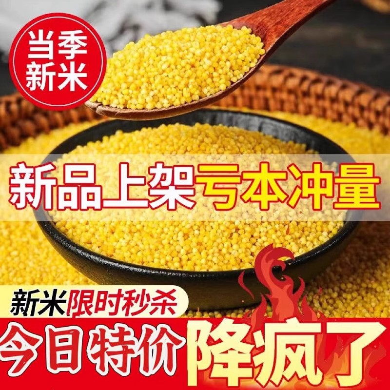 Yellow millet, a specialty of Shanxi, small yellow rice, farm cereals, glutinous millet porridge, coarse grain breakfast porridge, rich rice oil