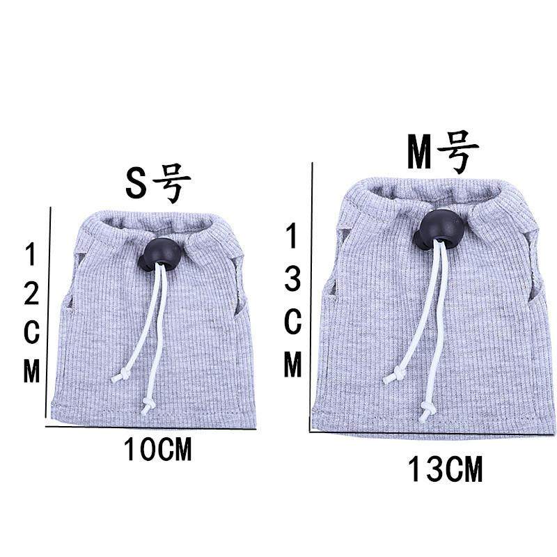纯手工鬃狮蜥蜴连帽衫？给爬宠穿衣服真的能遛小鳄鱼？