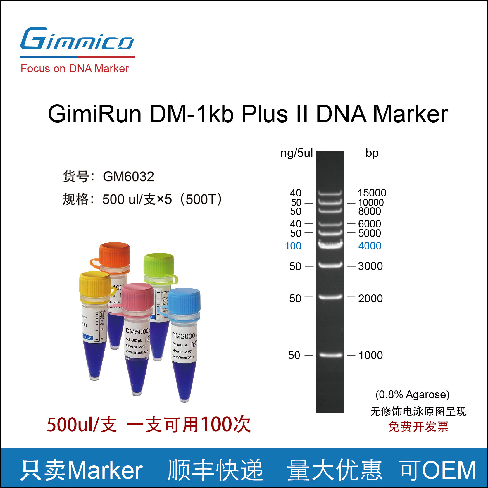 实验室试剂DNA Marker即用型 DM-1Kb Plus II  （1000-15000bp）
