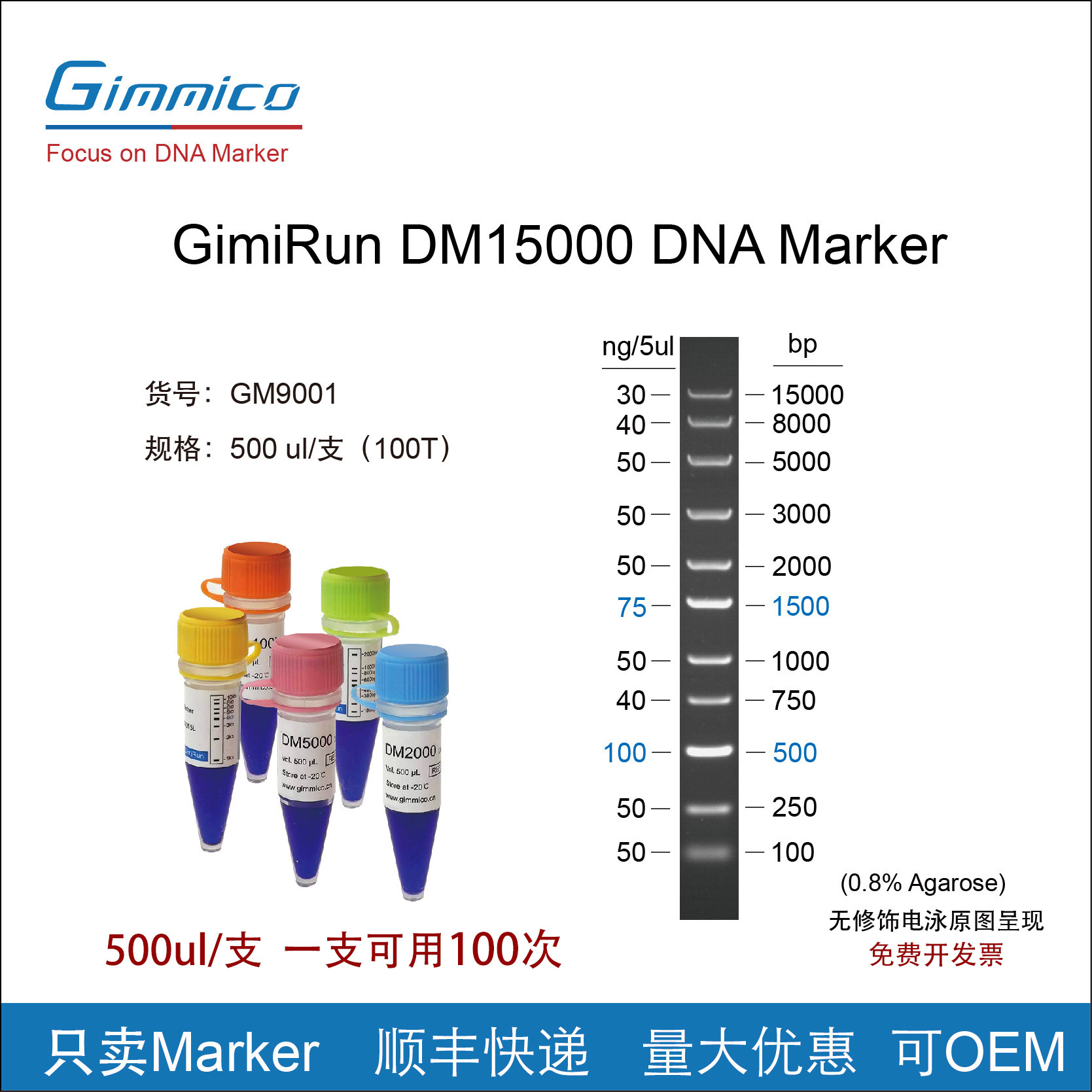 DM15000琼脂糖凝胶电泳DNA Marker50-1000bp/100-15000bp