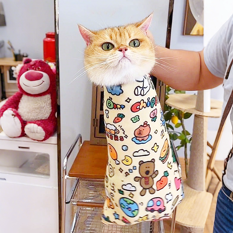 Self-Adhesive Magic Cloth for Cats, Nail Clipping, Medicine Feeding, Anti-Scratch, Fixed Wrap, Thickened, High Appearance Value, Cute, 100% off Cloth New Self-Adhesive Magic Cloth for Cats, Nail Clipping, Medicine Feeding, Anti-Scratch, Fixed Wrap, Thickened, High Appearance Value, Cute, 100% off Cloth New