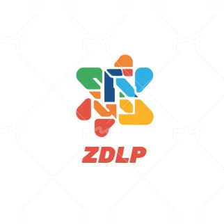 ZDLP数码旗舰店
