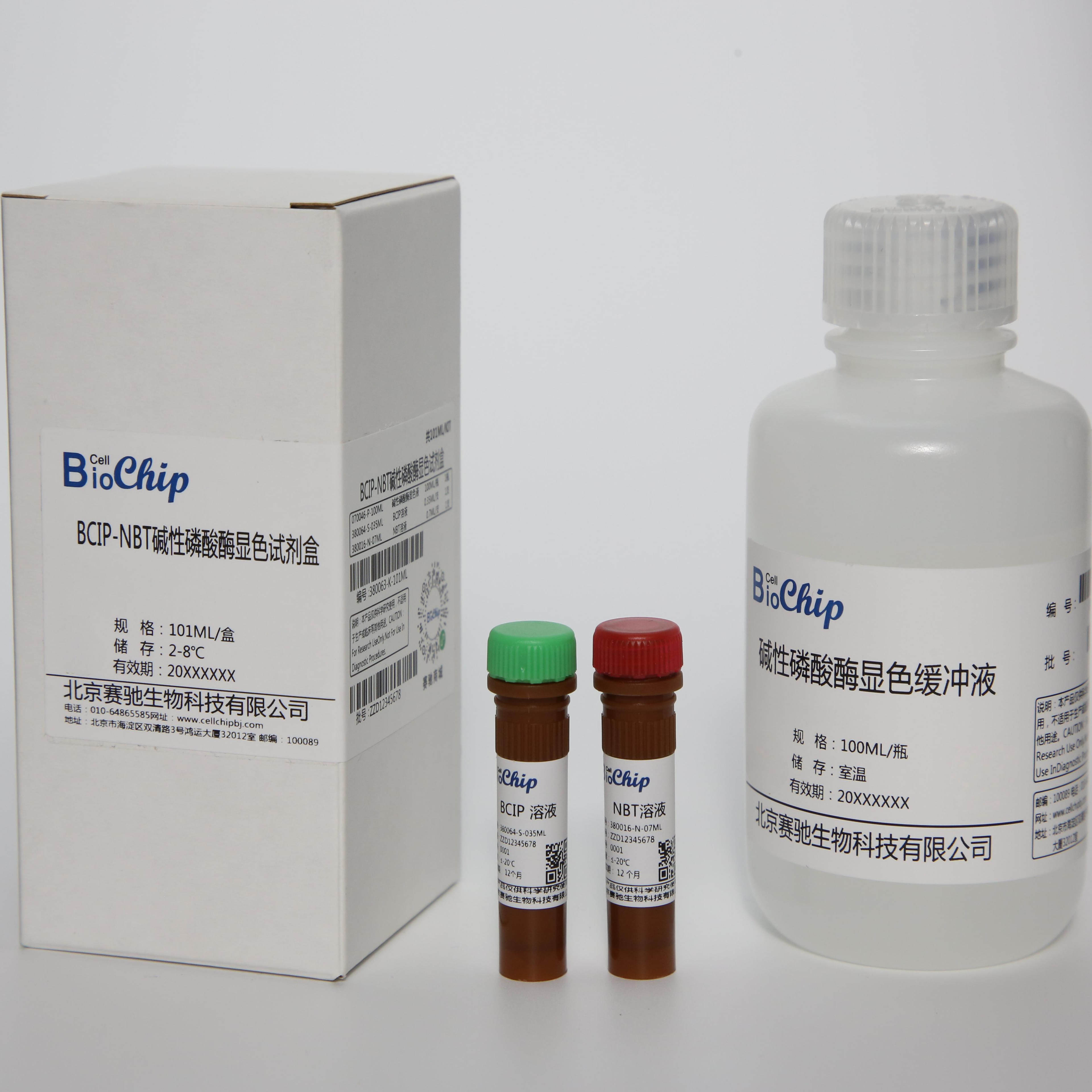 BCIP-NBT碱性磷酸酶显色试剂盒
