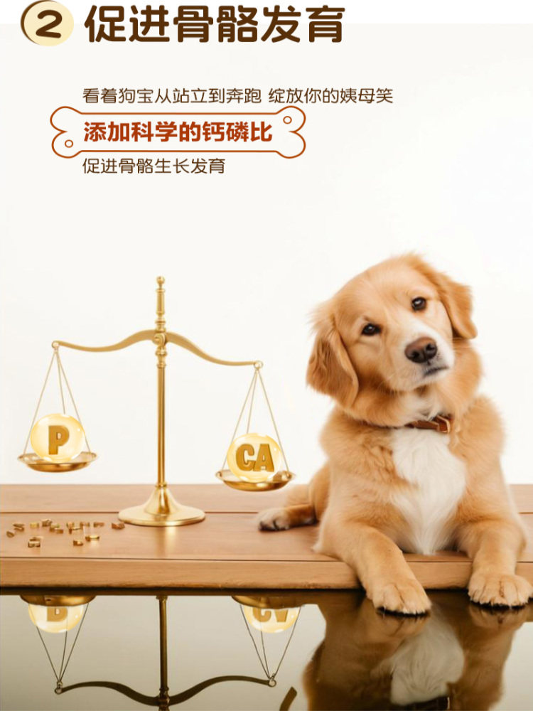 Kovko Fresh Meat Complete Dog Food Main Food for Dogs Teddy Bichon Poodle Small and Medium-Sized Dogs General Use Fresh Chicken Fresh Duck Meat