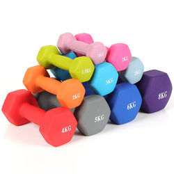 Dumbbell Women's Fitness Home Pure Iron Set Kidsren's and Men's Combination Equipment Small Dumbbell Primary School Students Weight Strength