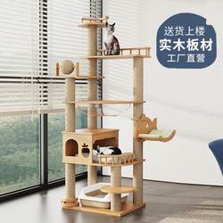 Solid Wood Luxury Cat Climbing Rack Cat Nest Cat Tree Integrated Big Cat Space Capsule with Sky Pillar Cat Shelf Winter Direct Selling