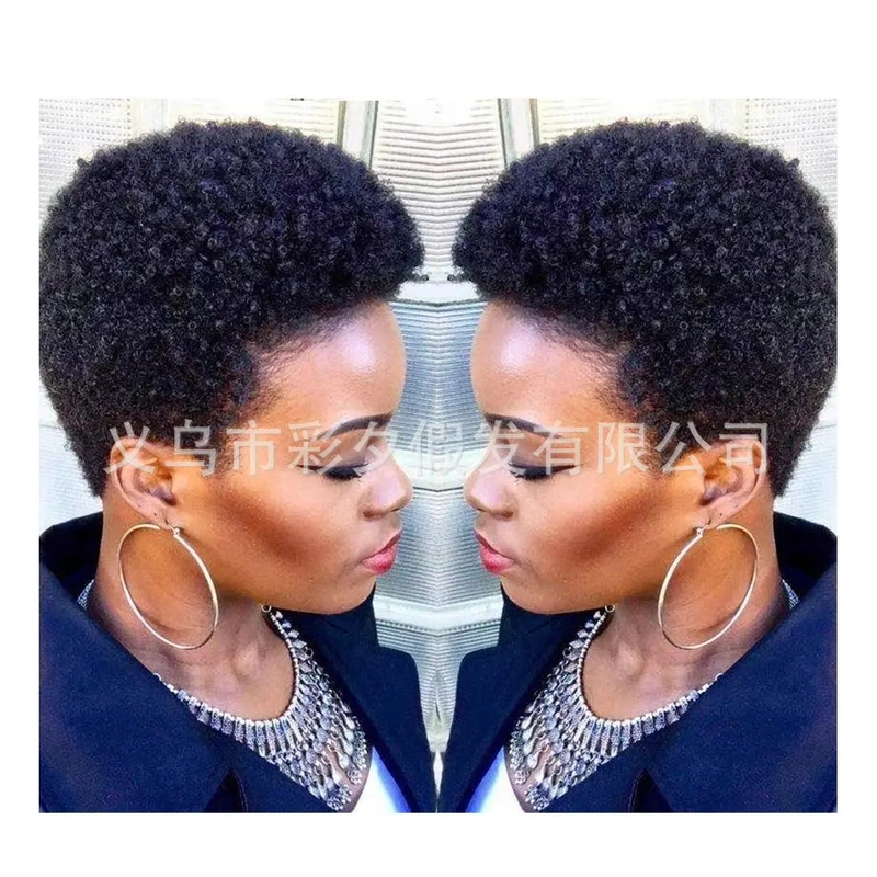 Wig Short Hair Summer Direct Supply High-Temperature Fiber Hair Fashionable Fluffy Wig African Small Curly Hair Wig