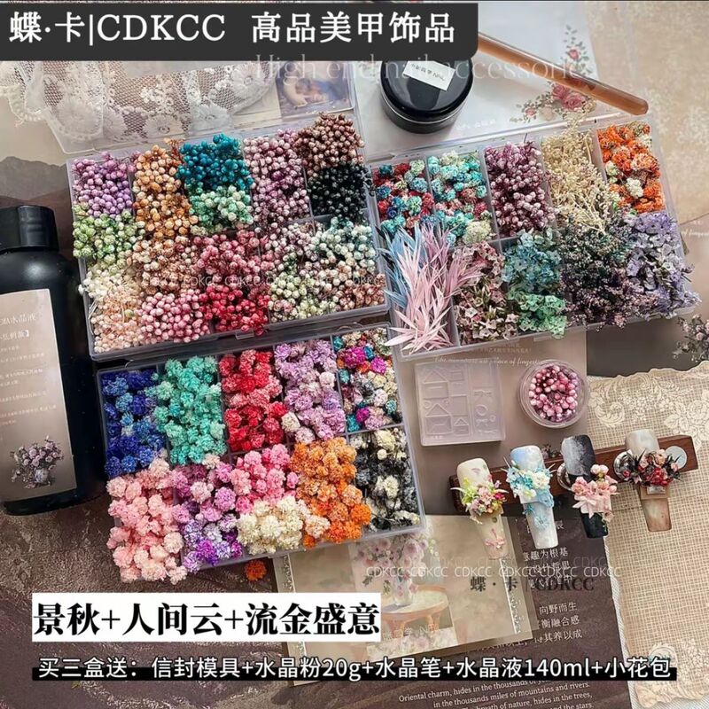 Dk Butterfly Card [10-Piece Eternal Flower Set] Teacher Xiaomi's Dried Flowers and Eternal Flowers for Nail Art Materials, over Ten Types of Floral Materials
