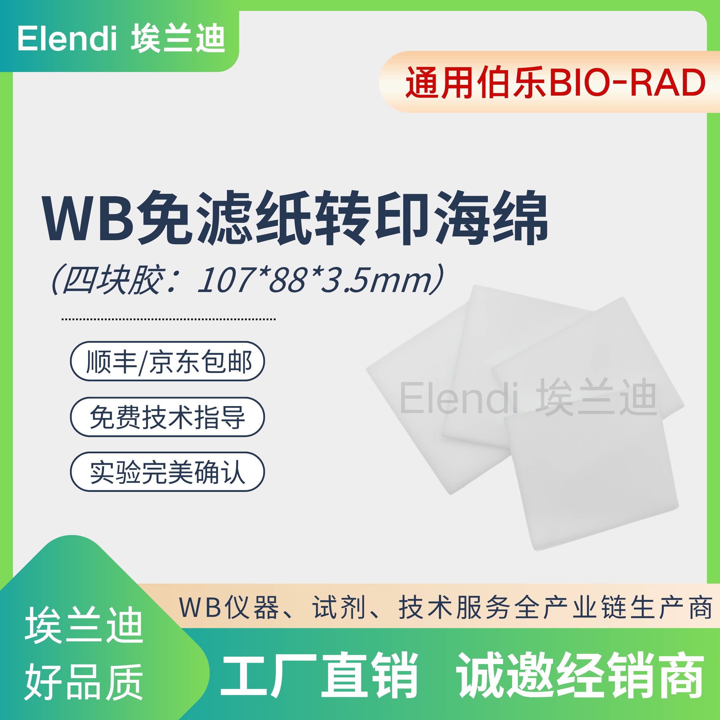 wb转膜夹/转印夹板转印滤纸免滤纸海绵四块胶