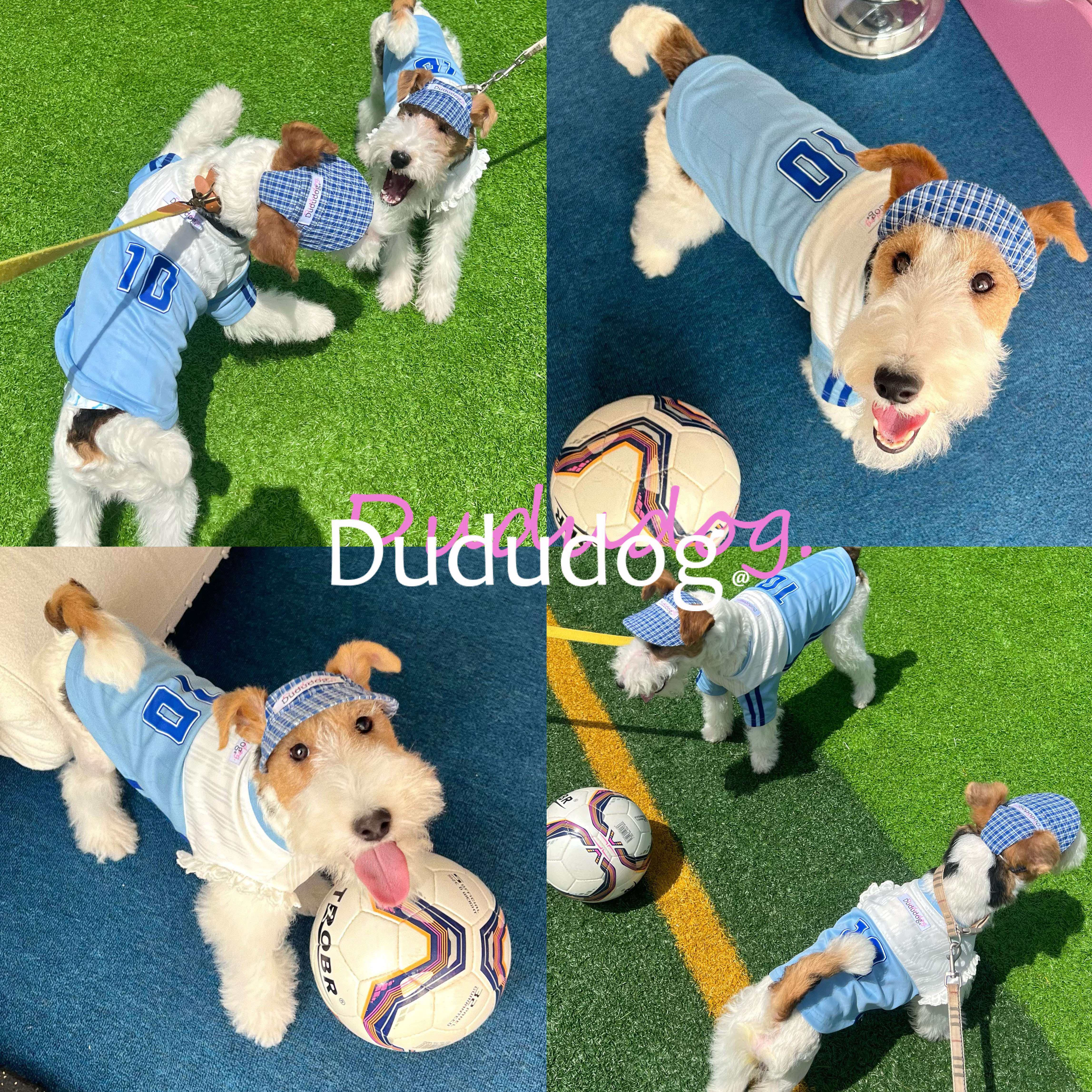 Dududog宠物速干球衣| 中小型犬情侣10号足球衣，让你家萌宠变身球场小王子！🔥-宠物用品定制周边-淘宝好物网, image size:4590x4590