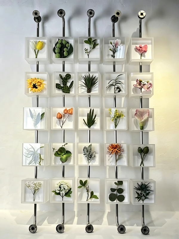 Acrylic Plant Specimen Box with Traditional Chinese Medicine Display, Wall-Mounted Art Decoration Installation Display