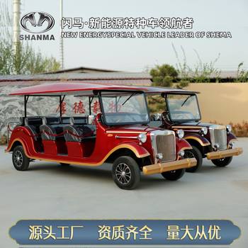 Car 11-seater tour bus hotel folk reception sales office house viewing electric four-wheel vehicle customized car electric sightseeing car