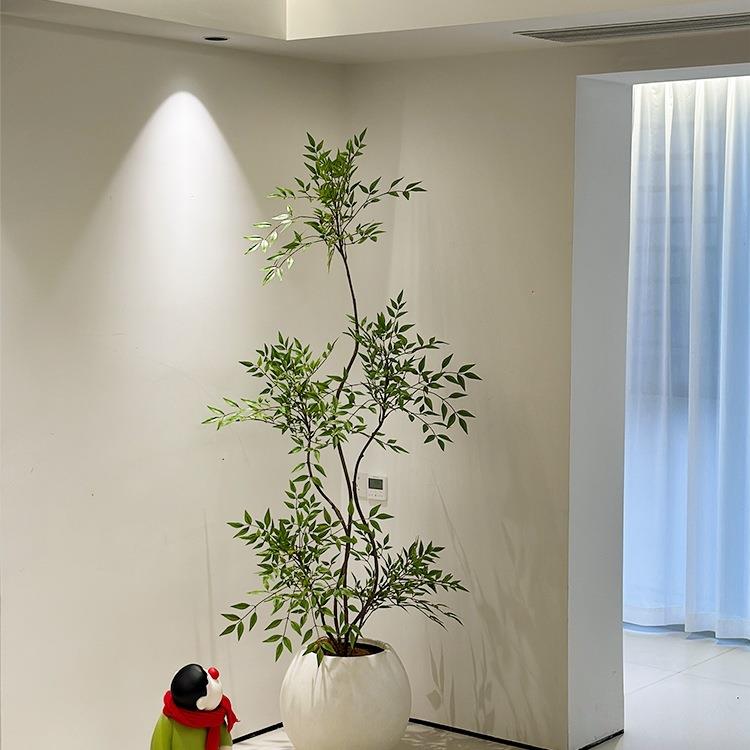 绿植仿生:客厅中的田园画卷