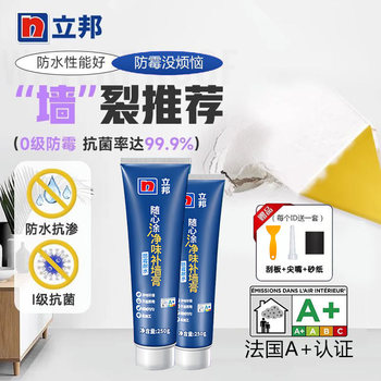 Nippon Wall Repair Paste White Waterproof Moisture-Proof Mildew-Proof Repair Latex Paint Putty Powder for Home Interior Walls