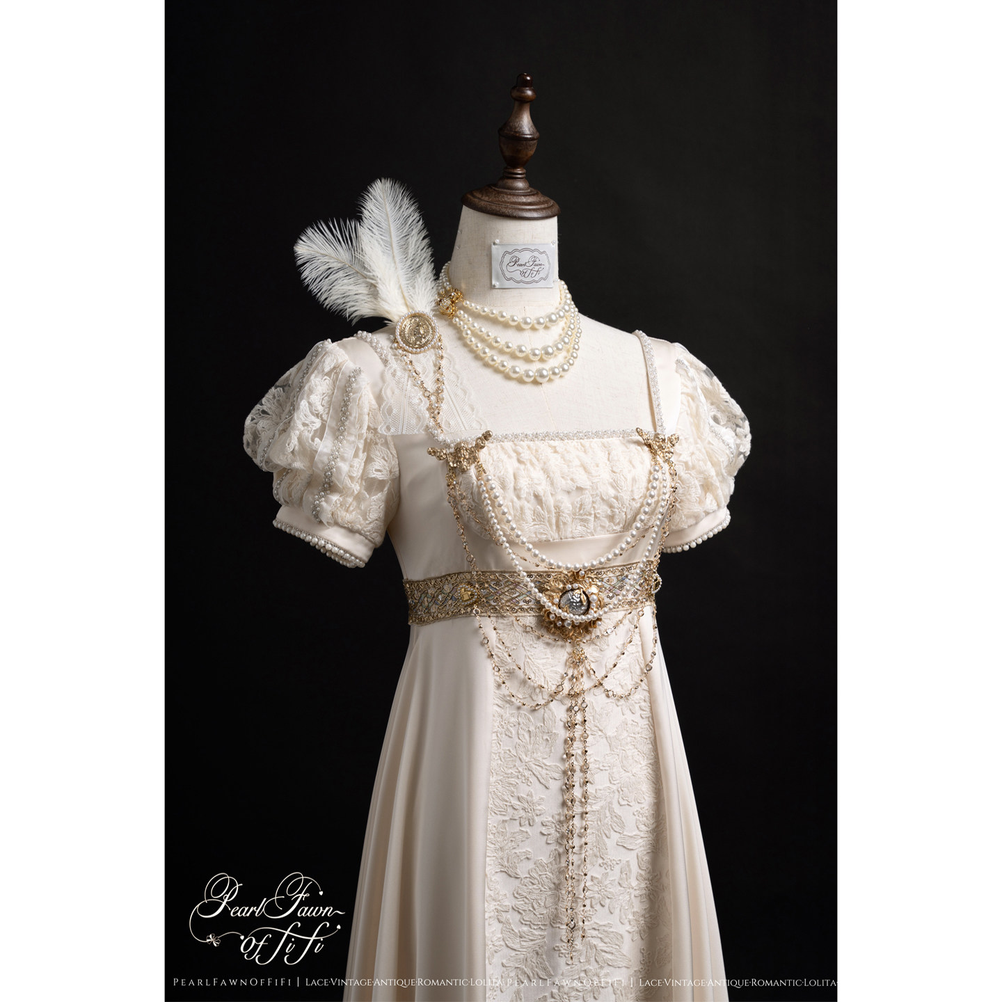 [Final Payment] Austin Angel Wings Original Embossed Acetate Satin Lace Empire Dress