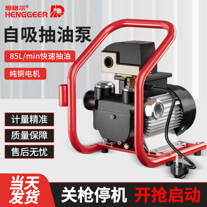 Electric Oil Pump 12V24V220V High-Flow Refueling Pump with Metering for Diesel, Automatic Start-Stop Oil Pump Refueling Machine