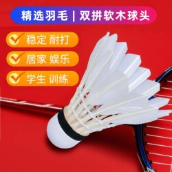 Badminton Is Durable and Stable for Training, Suitable for Beginners, Family Entertainment, Parent-Child Interaction, Indoor and Outdoor Practice for Both Men and Women