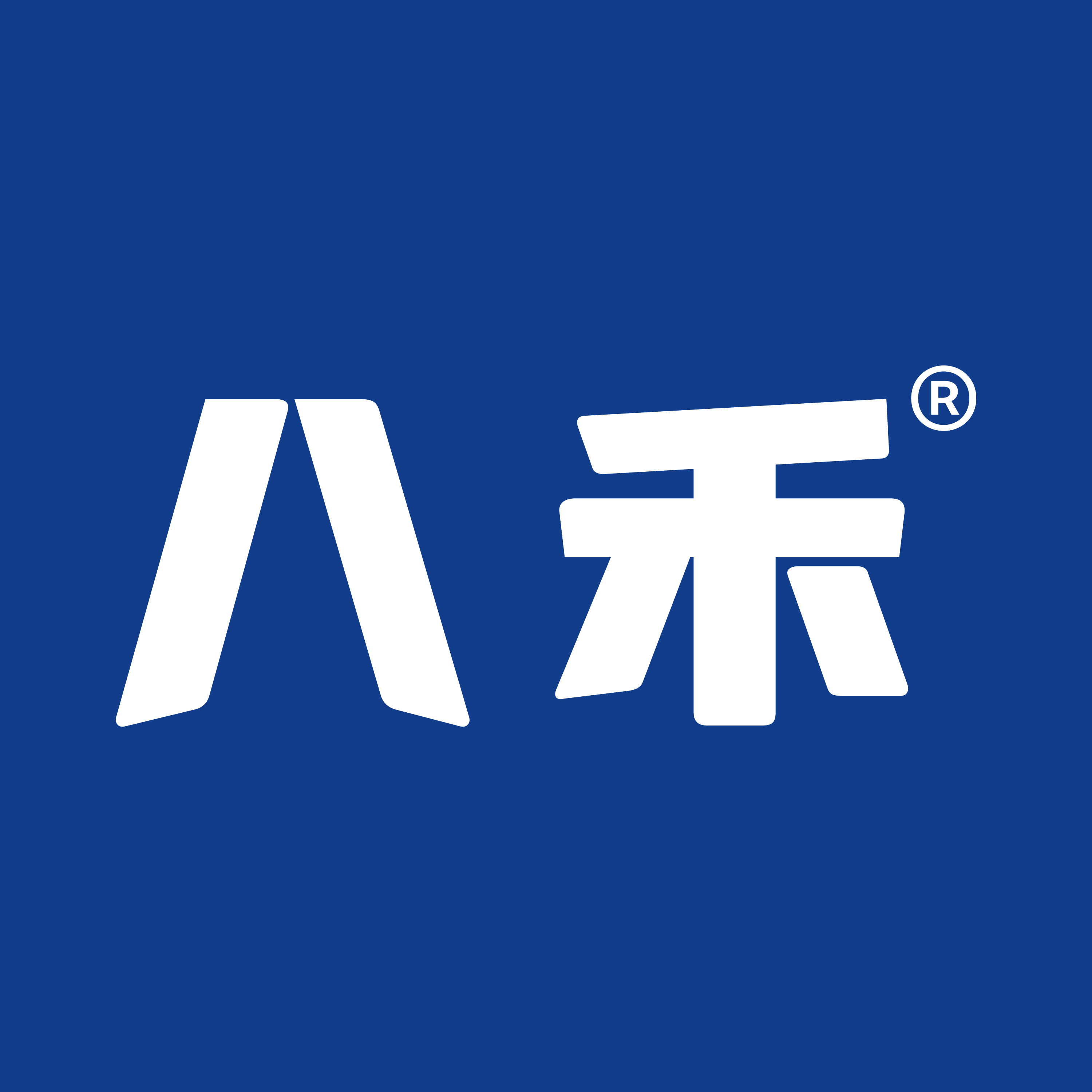 八禾旗舰店