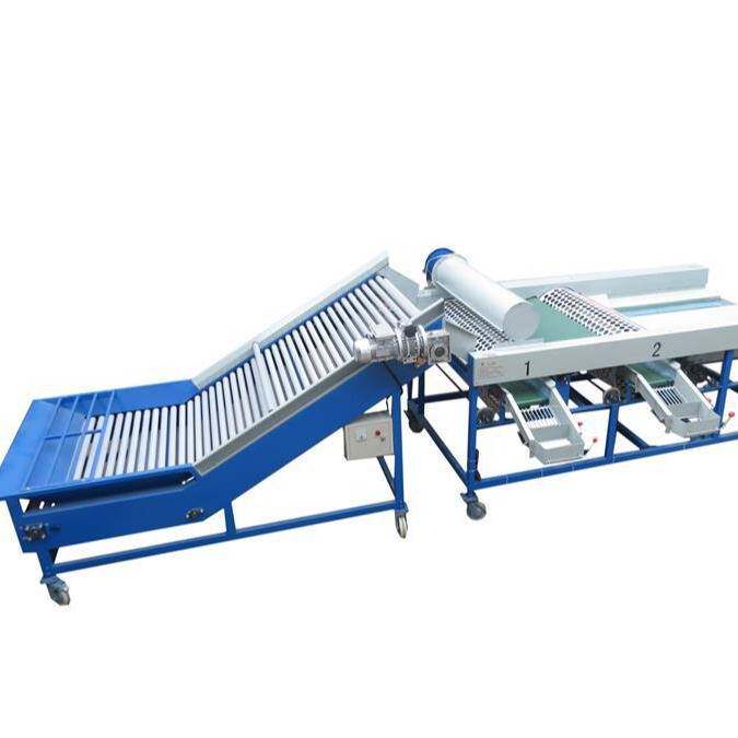 Garlic and onion grading machine, fruit and vegetable sorting machine, single garlic fruit sorting equipment, small fruit sorting machine