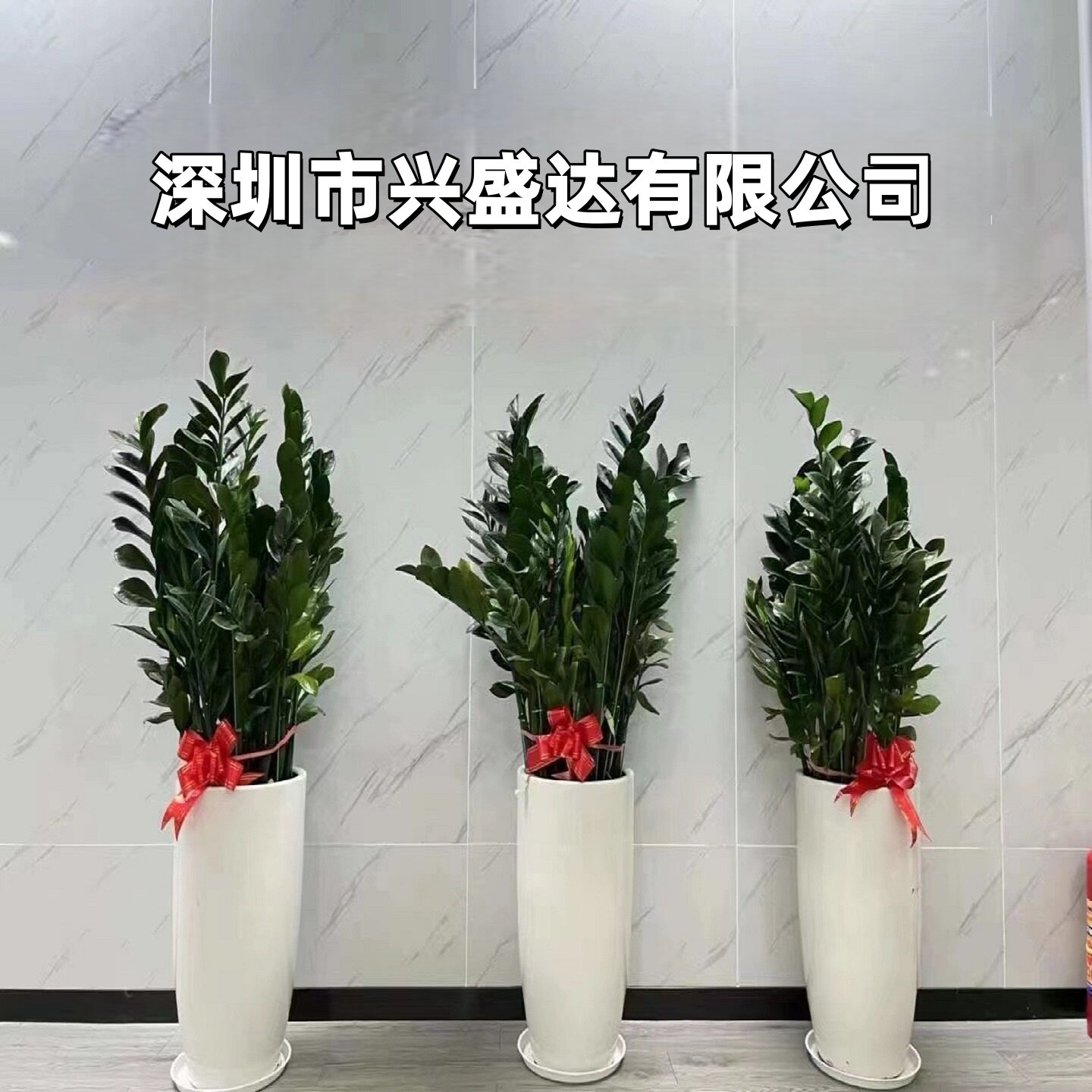 深圳市兴盛达电子
