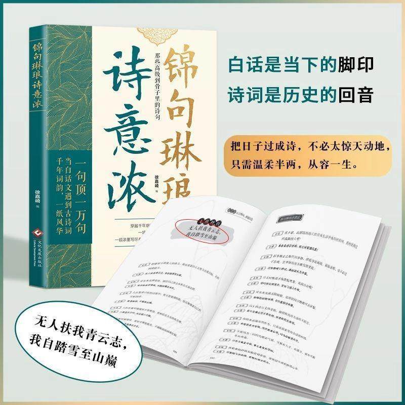 锦句琳琅诗意浓:官方正版书籍,告别词穷,优雅表达!🌟-自我实现-淘宝百科网