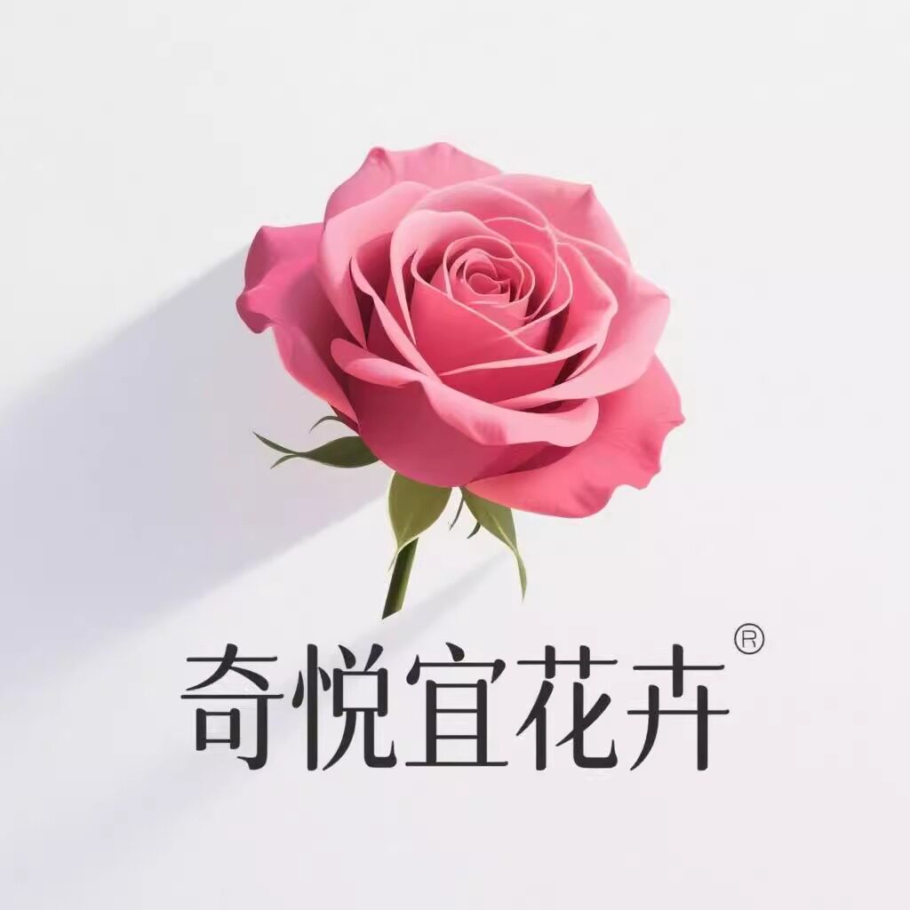 奇悦宜旗舰店的LOGO