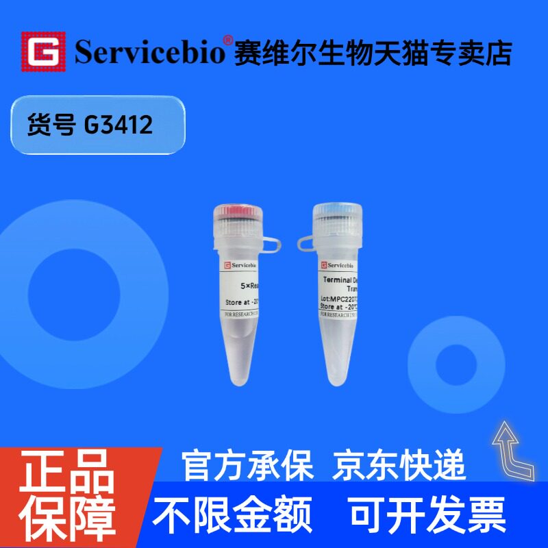 现货 Terminal Deoxynucleotidyl Transferase 50&mu;L G3412 赛维尔生物Servicebio 科研实验 重组蛋白/酶