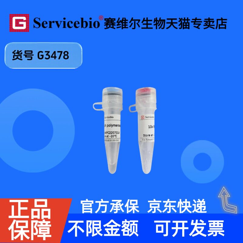 现货 DNA polymerase I (E.coli) 500U G3478 赛维尔生物Servicebio 科研实验 重组蛋白/酶